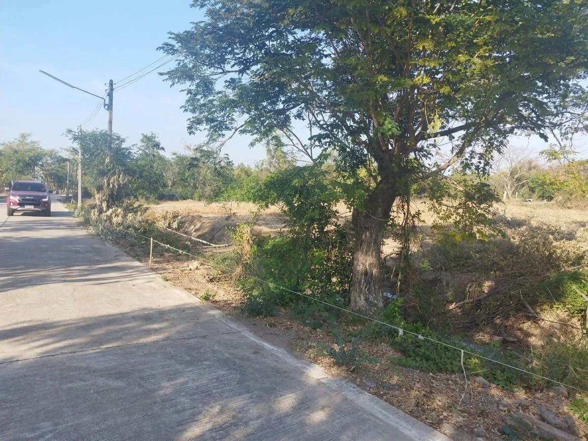 ที่ดินเปล่า เดิมบางนางบวช